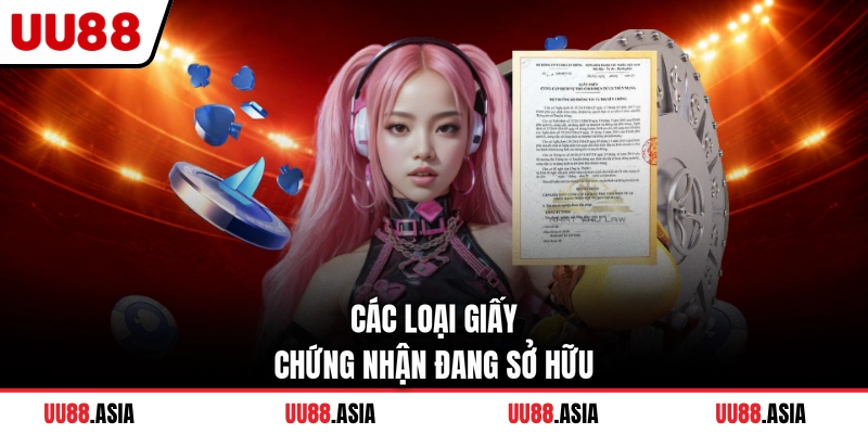 Các loại giấy chứng nhận đang sở hữu